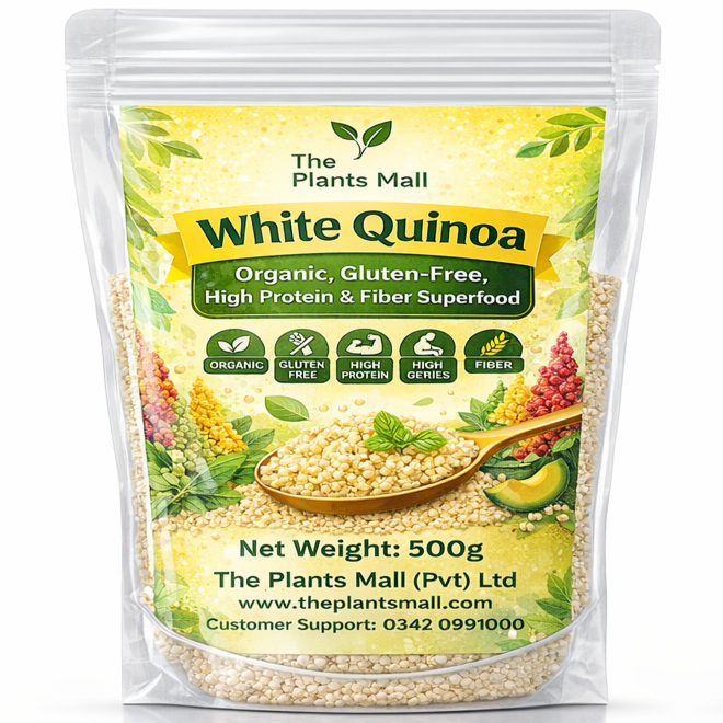 White Quinoa | Organic, Gluten-Free, High Protein & Fiber Superfood