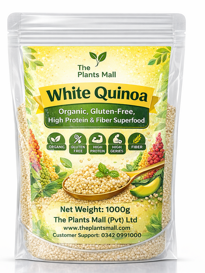 White Quinoa | Organic, Gluten-Free, High Protein & Fiber Superfood