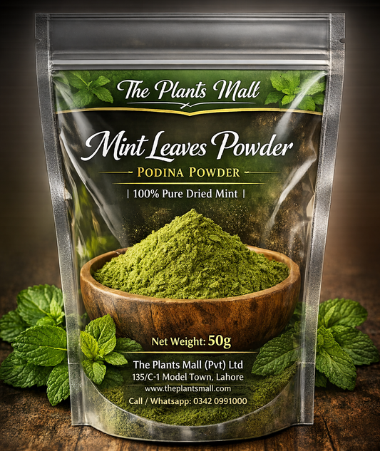 Mint Leaves Powder – Podina Powder - پودینہ پاؤڈر