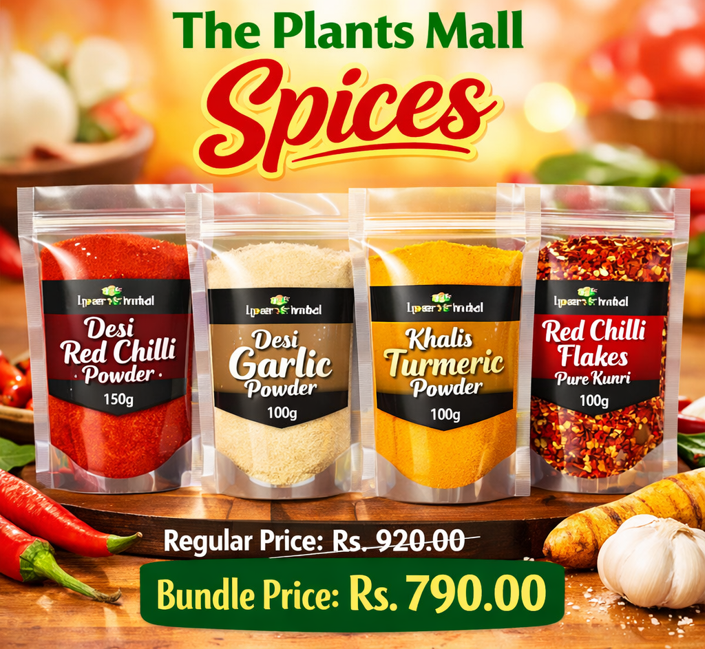 Desi Spices Bundle Deal – Red Chilli, Garlic, Turmeric & Kunri Chilli Flakes