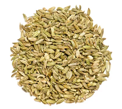 Lovage Seed (Ajwain)