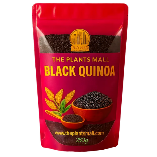 Organic black quinoa seeds for cooking and baking