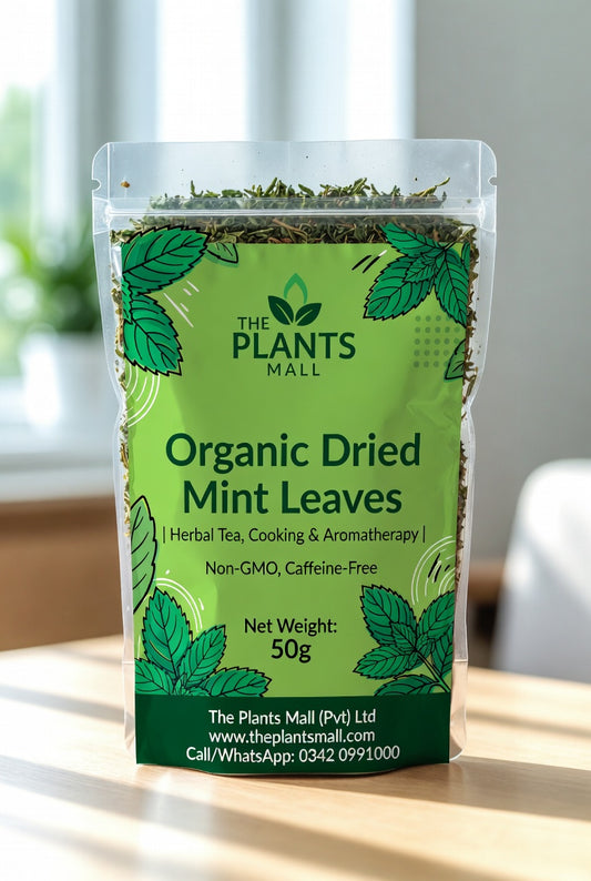Organic dried mint leaves from The Plants Mall in a clear glass jar with a wooden spoon, isolated on white background showing whole green spearmint leaves.