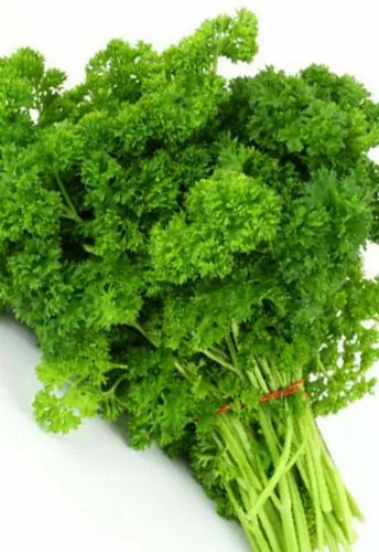FRESH ORGANIC PARSLEY