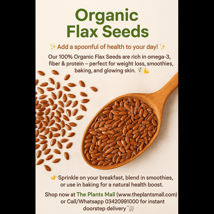 Organic flax seeds (alsi seeds)   | Health benefits of flaxseed | Good Food