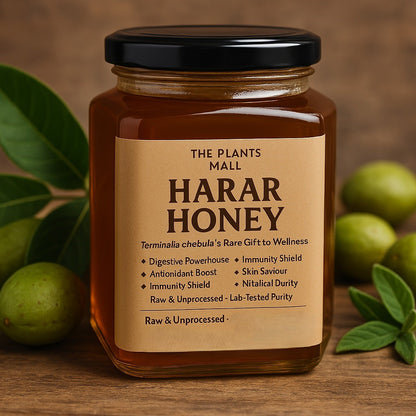 Rare Terminalia Chebula (Harar-Hareer) Honey – Nature’s Rare Elixir