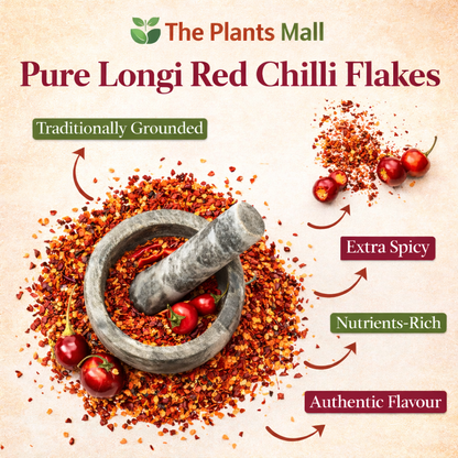 Longi Red Chilli Flakes – 100% Pure Kunri | خالص لونگی لال مرچ فلیکس – ذائقے کی اصل پہچان