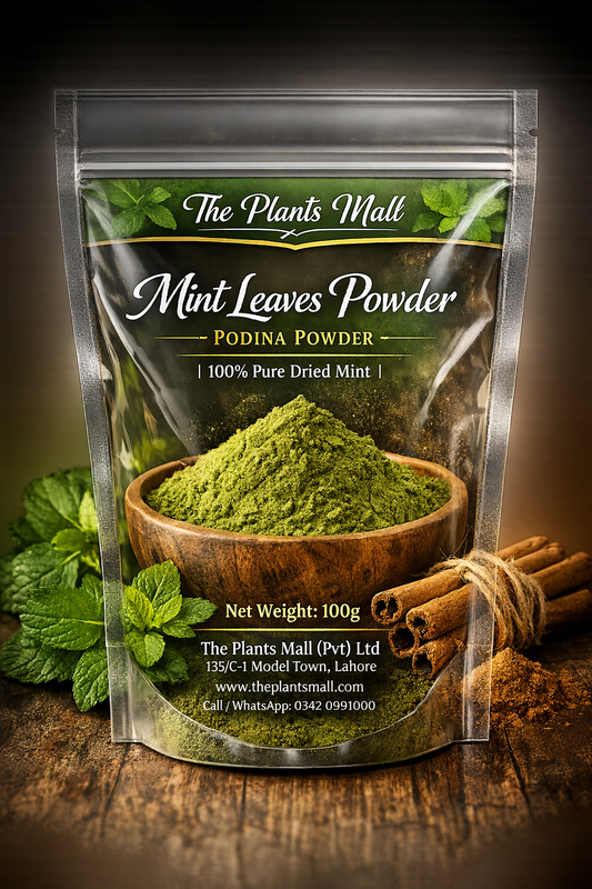 Mint Leaves Powder – Podina Powder - پودینہ پاؤڈر