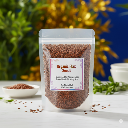 Organic flax seeds (alsi seeds) r | Health benefits of flaxseed 