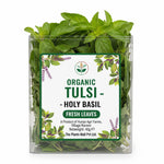 Organic Holy Basil (Tulsi) fresh leaves, hand-picked for teas, wellness, and natural remedies, 100% organic, ideal for tea, cooking, and traditional Ayurvedic use