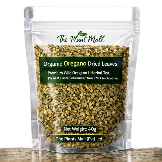 Best dried oregano for Italian cooking and herbal tea