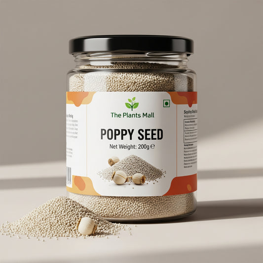 POPPY SEED (خشخاش)