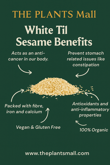 Sesame Seeds (Till)