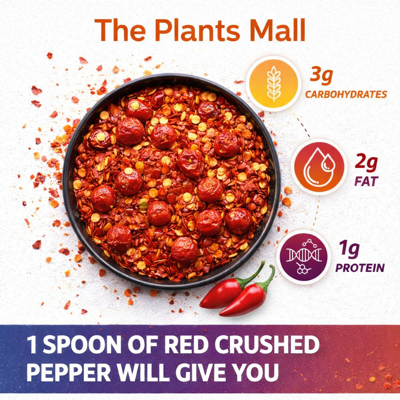 Longi Red Chilli Flakes – 100% Pure Kunri | خالص لونگی لال مرچ فلیکس – ذائقے کی اصل پہچان