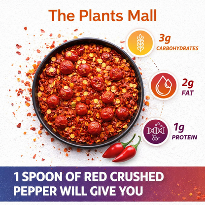 Longi Red Chilli Flakes – 100% Pure Kunri | خالص لونگی لال مرچ فلیکس – ذائقے کی اصل پہچان