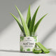 Organic Fresh Aloe Vera Leaves – 100% Natural