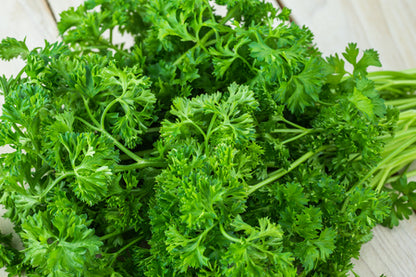 FRESH ORGANIC PARSLEY