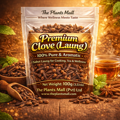 Natural Whole Cloves Laung for Biryani and Masala