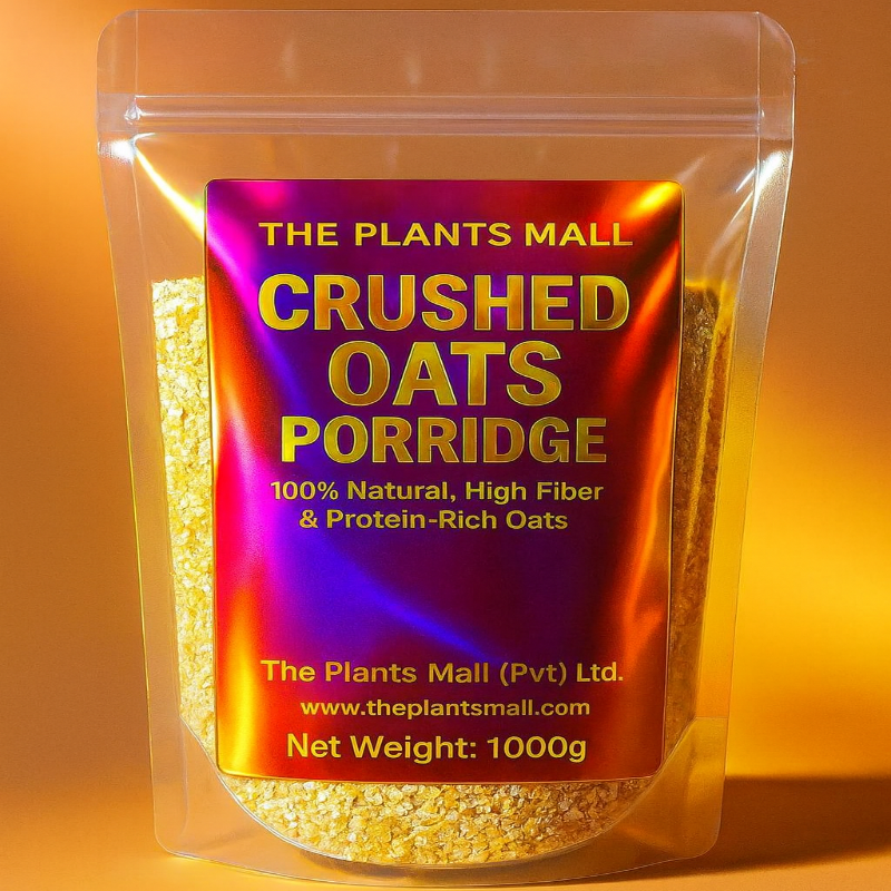 High fiber protein-rich oats for porridge and smoothies