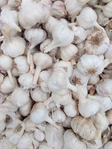 Desi  Garlic - دیسی لہسن