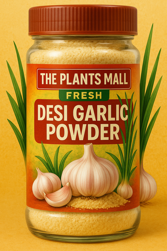 FRESH DESI GARLIC POWDER  دیسی لہسن پاؤڈر