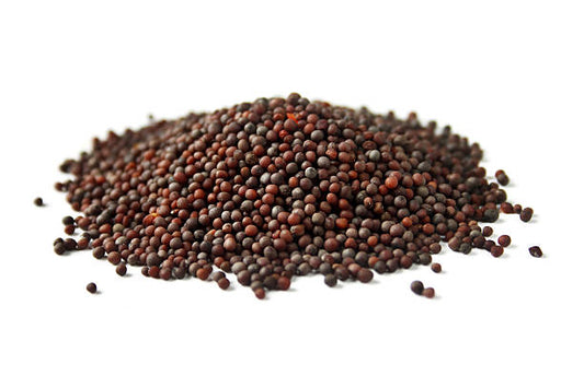 Black Mustard Seeds (Rai Dana)