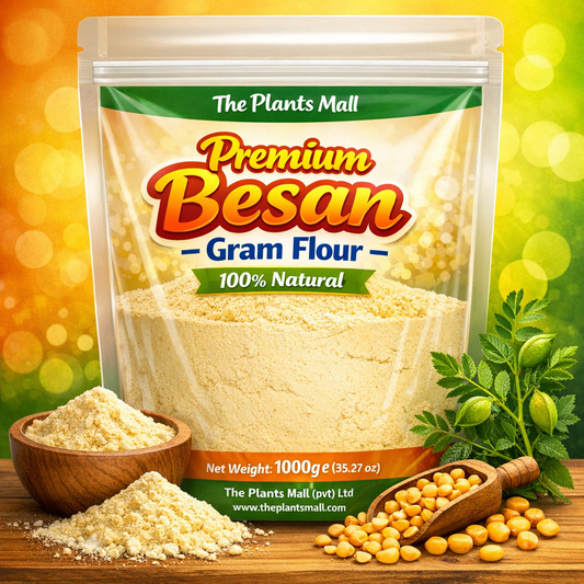 100 Percent Pure Besan for Cooking and Baking