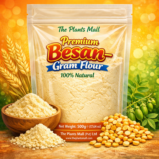 Premium Besan Gram Flour The Plants Mall Pakistan