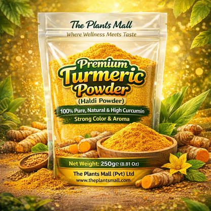 Pure Natural Haldi Powder Cooking Spice Pakistan