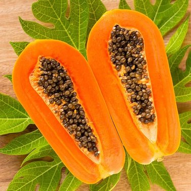 Papaya - Papita - Papaw - Carica Papaya