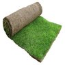 Korean Grass - Lawn Grass - Zoysia Japonica (Per Square Feet)