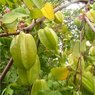 Starfruit - Kamrak - kamranga - Chinese Gooseberry