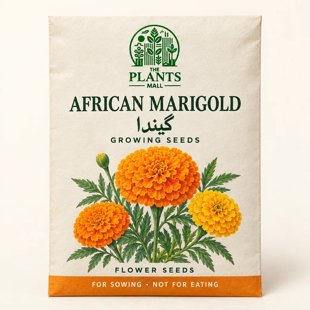 African Marigold Plants Mall seed packet artwork