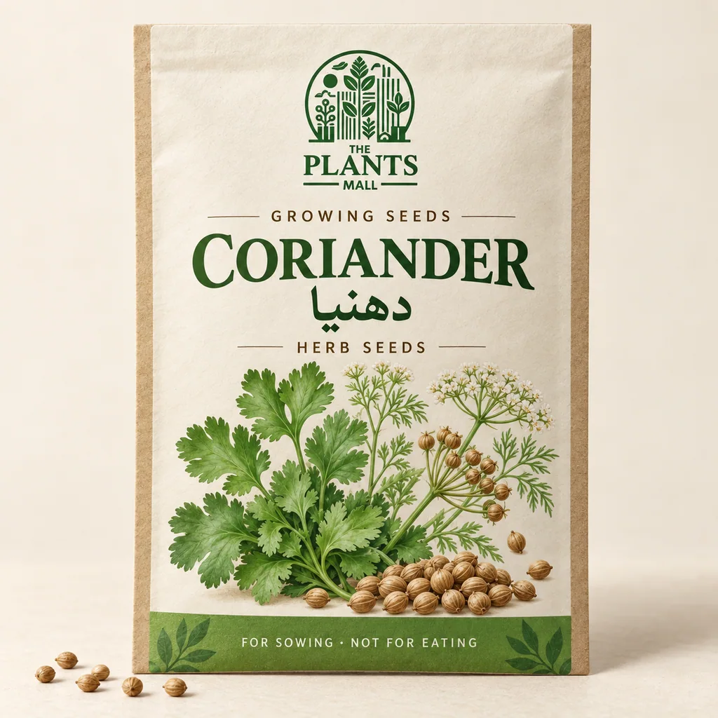 Coriander Plants Mall seed packet artwork