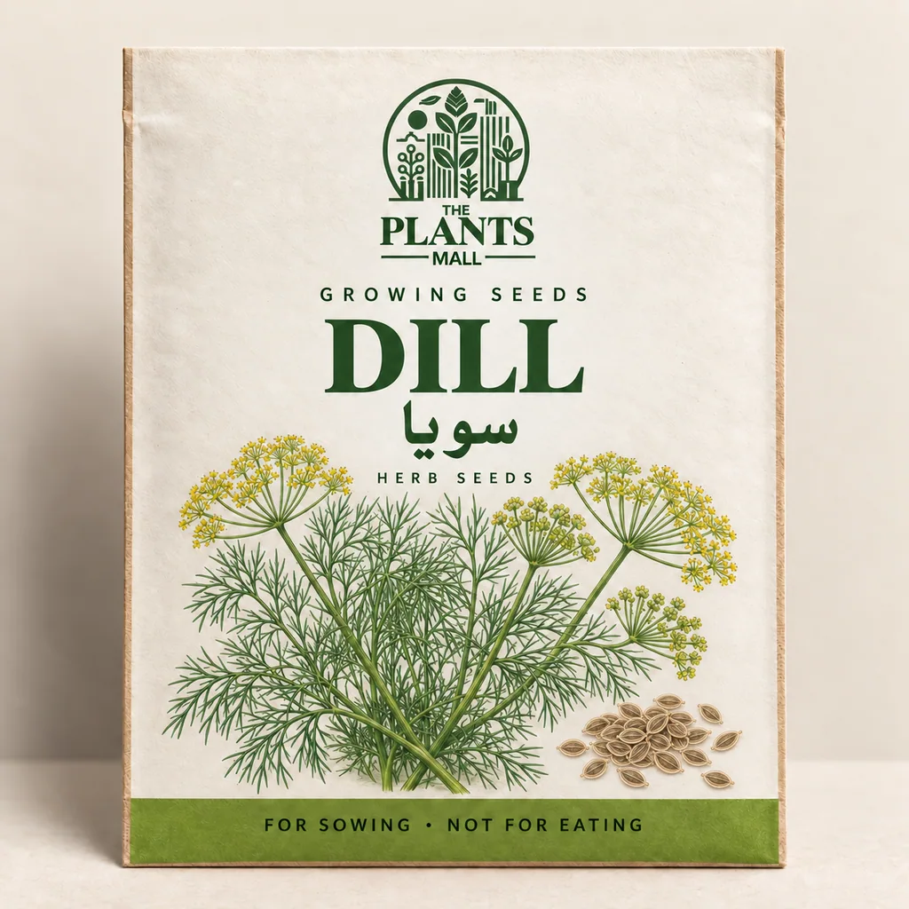 Dill Plants Mall seed packet artwork
