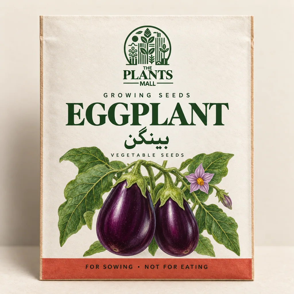 Eggplant Plants Mall seed packet artwork