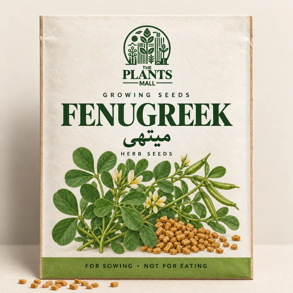 Fenugreek Plants Mall seed packet artwork