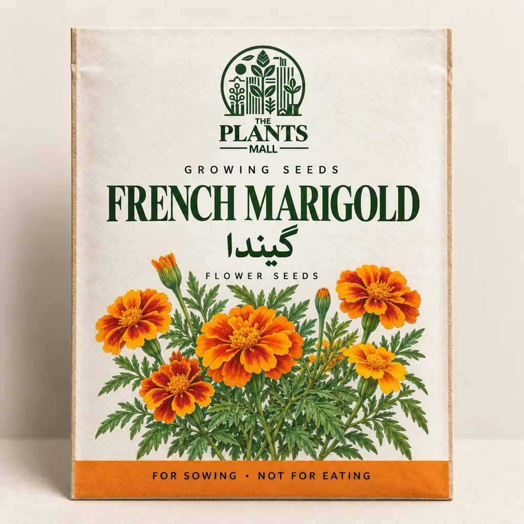 French Marigold Plants Mall seed packet artwork