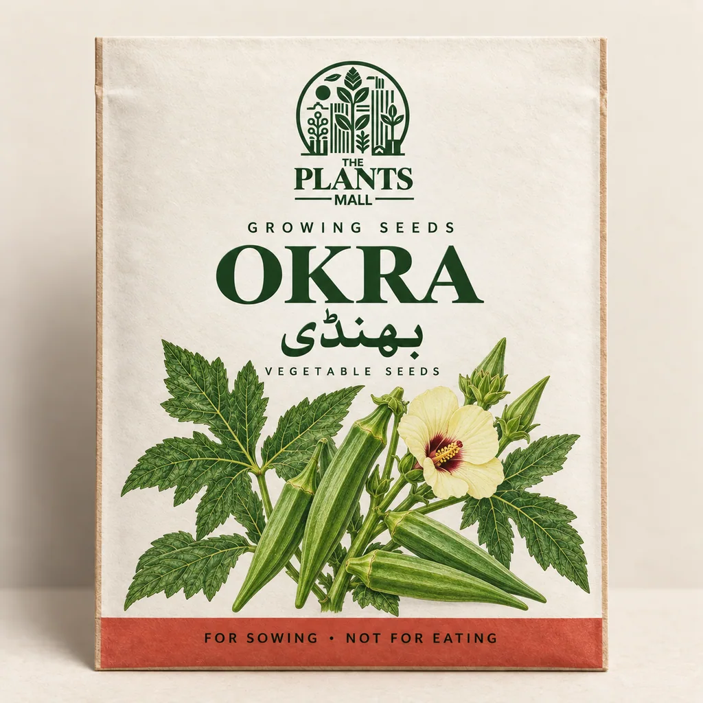 Okra Plants Mall seed packet artwork